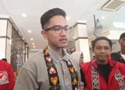 PDIP Menanggapi Isu Kaesang Pangarep yang Diusung dalam Pilgub DKI Jakarta