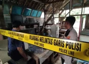 Seorang Pemilik Kos Tega Makan Daging Kucing, Alasannya Obati Diabetes
