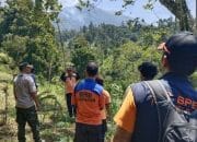 100 Hektar Lereng Gunung Agung Terbakar, Cuaca Panas Hambat Penanganan