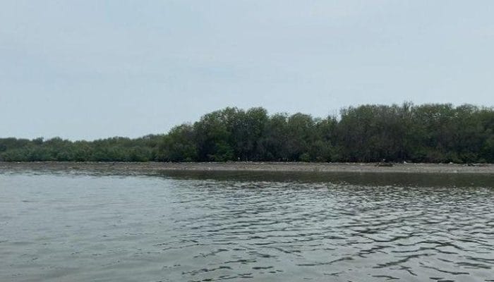 HGB di Laut Sidoarjo, Pemprov Jawa Timur Tegaskan Penertiban Segera