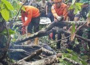 Longsor di Banjar Cempaka Bali, Tewaskan Empat Orang dan Lukai Beberapa Warga