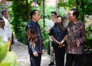 Pertemuan Jokowi dan Sri Sultan HB X: Silahturahmi Pribadi atau Ada Maksud Lain?
