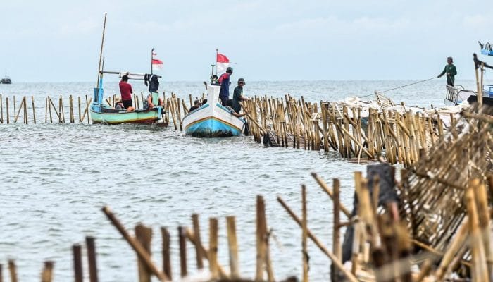 Masyarakat Temukan Pagar Laut Tangerang Ada yang Belum Dicabut