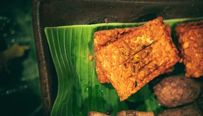 Tempe, Jaranan, dan Teater Mak Yong Resmi Indonesia Ajukan ke UNESCO