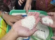 25 Pemilik Merek Beras 5 Kg Diperiksa Satgas Pangan Terkait Kasus Beras Oplosan