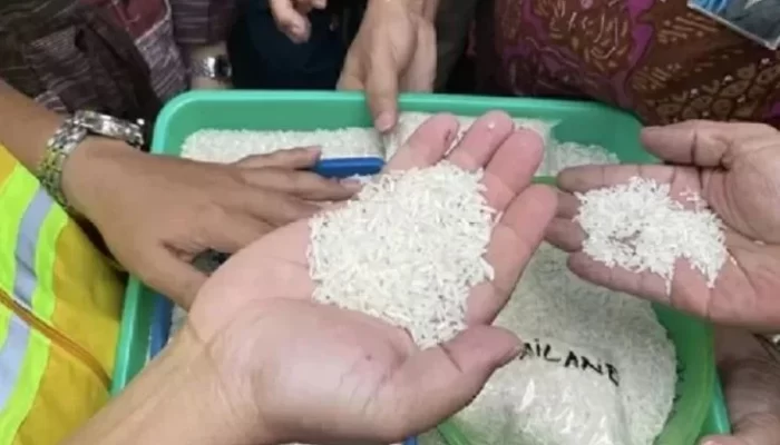 25 Pemilik Merek Beras 5 Kg Diperiksa Satgas Pangan Terkait Kasus Beras Oplosan