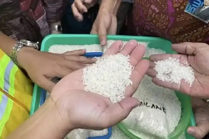 25 Pemilik Merek Beras 5 Kg Diperiksa Satgas Pangan Terkait Kasus Beras Oplosan
