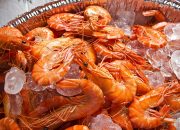 Udang Beku dari Banten Tercemar Cs-137, Pemerintah Bentuk Satgas Khusus