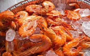 Udang Beku dari Banten Tercemar Cs-137, Pemerintah Bentuk Satgas Khusus