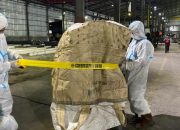 KLH Tetapkan Kawasan Industri Cikande Berstatus Kejadian Khusus Cemaran Radiasi Cesium-137