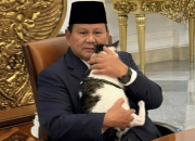 Kucing Bobby Beri Ucapan di Hari Ulang Tahun ke-74 Presiden Prabowo