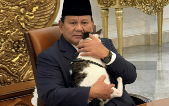 Kucing Bobby Beri Ucapan di Hari Ulang Tahun ke-74 Presiden Prabowo