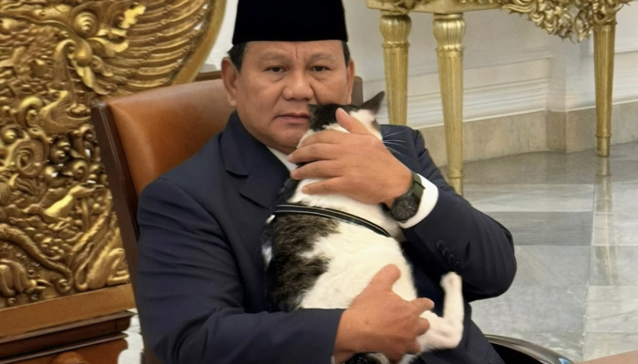 Kucing Bobby Beri Ucapan di Hari Ulang Tahun ke-74 Presiden Prabowo