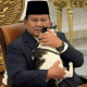 Kucing Bobby Beri Ucapan di Hari Ulang Tahun ke-74 Presiden Prabowo