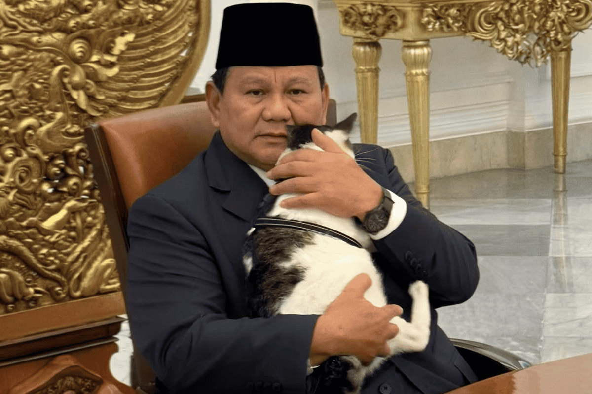 Kucing Bobby Beri Ucapan di Hari Ulang Tahun ke-74 Presiden Prabowo