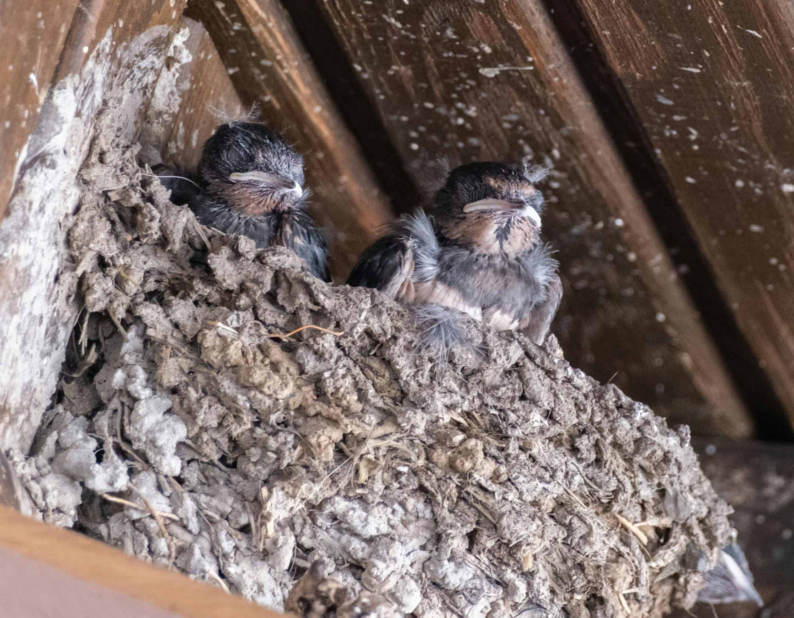 PT Abadi Lestari Indonesia Siap IPO 8 Desember, Bidik Dana hingga Rp105 Miliar