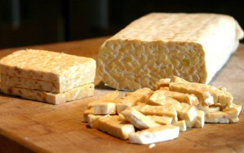 Menbud Fadli Zon Dorong Tempe Mendunia Lewat Pengakuan UNESCO