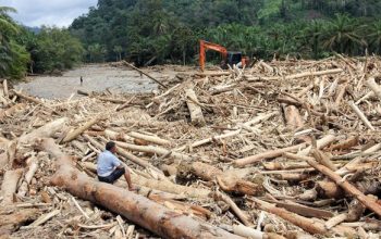 Komisi IV DPR Panggil Menhut Bahas Ribuan Kayu Hanyut di Sumatra dan Aceh