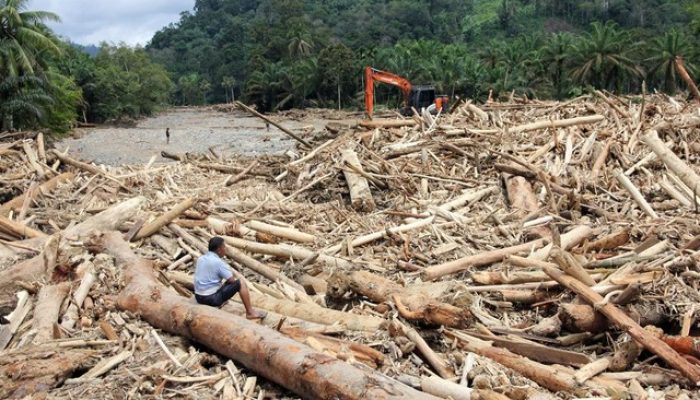 Komisi IV DPR Panggil Menhut Bahas Ribuan Kayu Hanyut di Sumatra dan Aceh