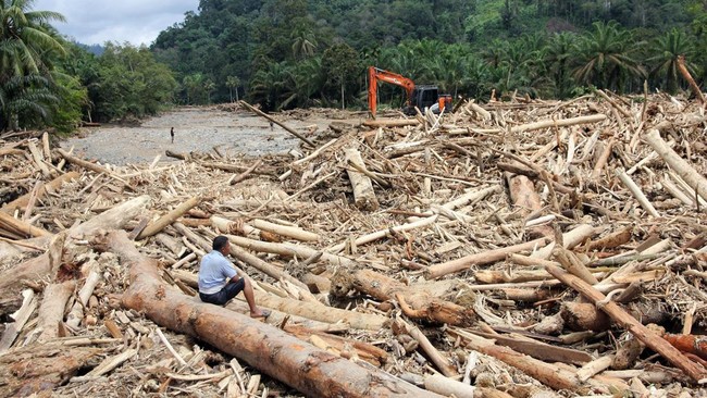 Komisi IV DPR Panggil Menhut Bahas Ribuan Kayu Hanyut di Sumatra dan Aceh
