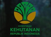 Kemenhut Klarifikasi Isu Penggeledahan, Sebut Kejagung Cocokkan Data Kawasan Hutan