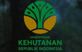 Kemenhut Klarifikasi Isu Penggeledahan, Sebut Kejagung Cocokkan Data Kawasan Hutan