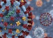 Kemenkes Pastikan Influenza A(H3N2) Subclade K di Indonesia Masih Terkendali