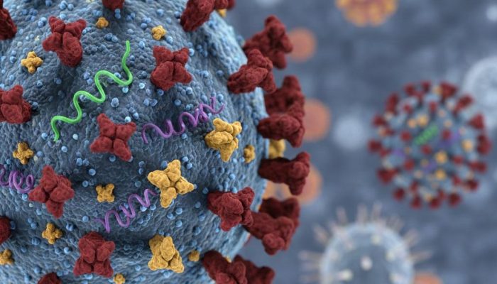 Kemenkes Pastikan Influenza A(H3N2) Subclade K di Indonesia Masih Terkendali